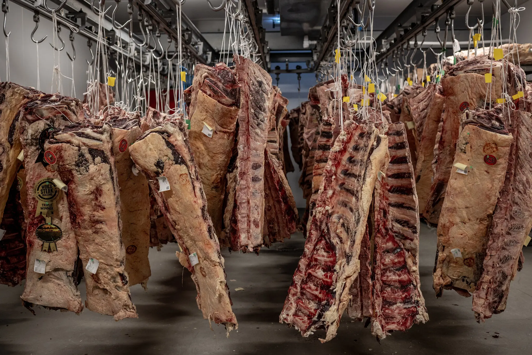 “Beautiful Beef” США: торговельний камінь спотикання з ЄС